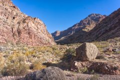 GC_DSC5052