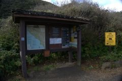 DSC5209