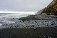 DSC5356