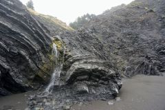 DSC5382