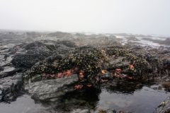DSC5460