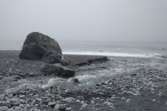 IMG_20210614_123123727