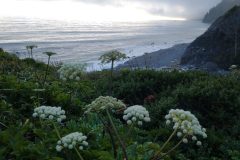 IMG_20210614_200922935